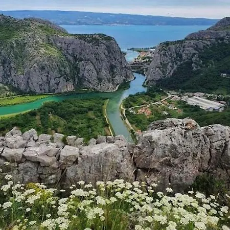 Iva Omiš